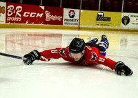Gagnon's Celly